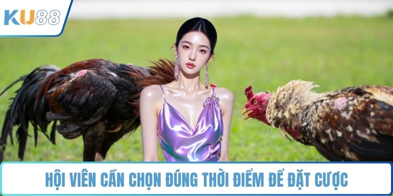 Hội viên cần chọn đúng thời điểm để đặt cược