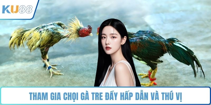 Tham gia chọi gà tre đầy hấp dẫn và thú vị